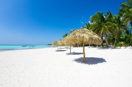 Strand mit Palmen