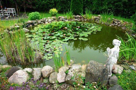 Gartenteich Teich
