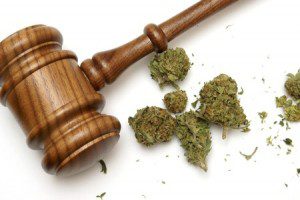 Cannabiskonsum Cannabis