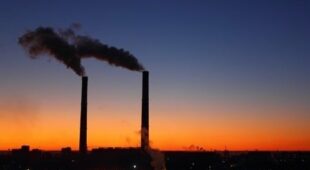 Umweltministerium – Unterlassungsanspruch eines Betreibers einer Aballverbrennungsanlage