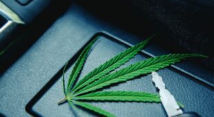 Zulassung eines Cannabiskonsumenten zur Fahrerlaubnisprüfung für die Klasse B