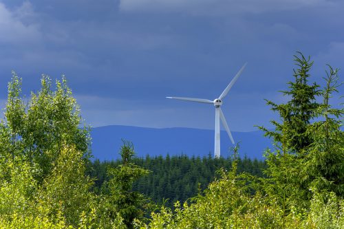 Jagdpachtminderung wegen Errichtung einer Windkraftanlage