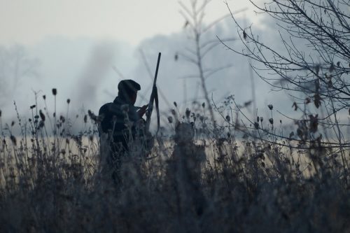 Anspruch auf Zustimmung zum Ruhen der Jagd