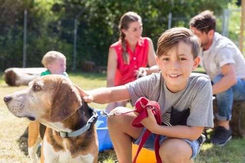 Hundekauf – Ersatz von Tierarztkosten bei Erkrankung