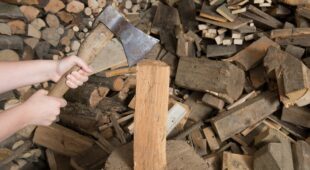 Mietvertragskündigung wegen Brennholzlagerung mit Genehmigung des Vorvermieters