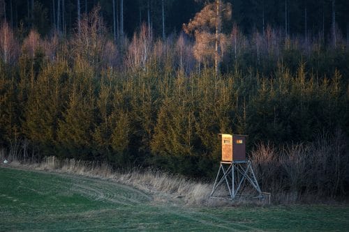 Verkehrssicherungspflichtverletzung des Veranstalters einer Treib- oder Drückjagd