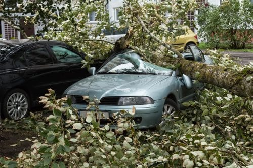 WEG-Haftung für Kraftfahrzeugschaden aufgrund eines bei Sturm umstürzenden Baums
