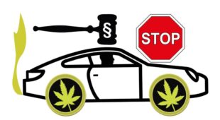 Cannabis-Konsum – erforderliche Fahreignung nach der Fahrerlaubnisverordnung