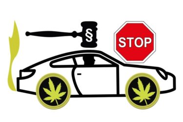 Cannabis-Konsum – erforderliche Fahreignung nach der Fahrerlaubnisverordnung