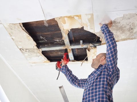 Verkauf Altbau – Zusicherung einer Dachsanierung – Beweislast des Käufers