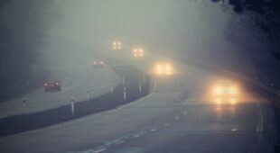 Nebelbedingt schlechte Sichtverhältnisse – Vorfahrtsberechtigung – Verkehrsunfall
