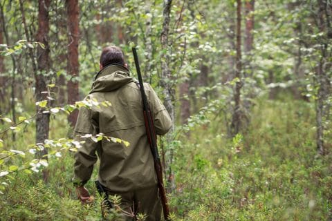 Verantwortlichkeit des Jagdausübungsberechtigten für eine Überpopulation von Wild