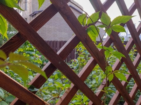 Störungsbeseitigungsanspruch bei zusätzlichem Holzgeflechtzaun des Nachbarn