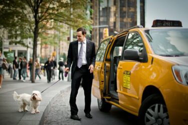 Verweigerung der Beförderung von Fahrgästen mit Hunden durch einen Taxifahrer