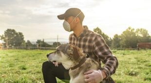 Verordnung zur Bekämpfung des Corona-Virus – Hundeschulen und Hundesalons