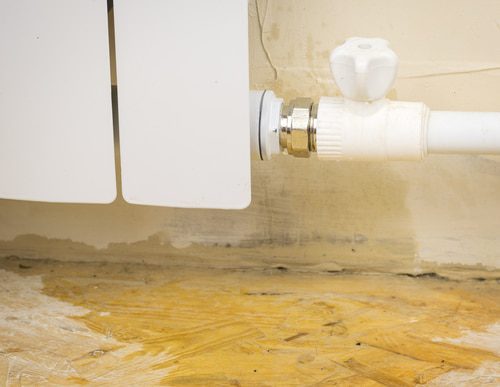 Leitungswasserschäden - Beschränkung des Risikoausschlusses auf echten Hausschwamm