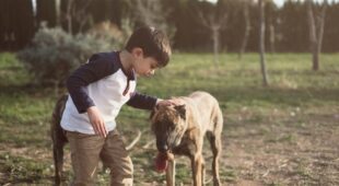 Tierhalterhaftung – Deliktsfähigkeit von Minderjährigen