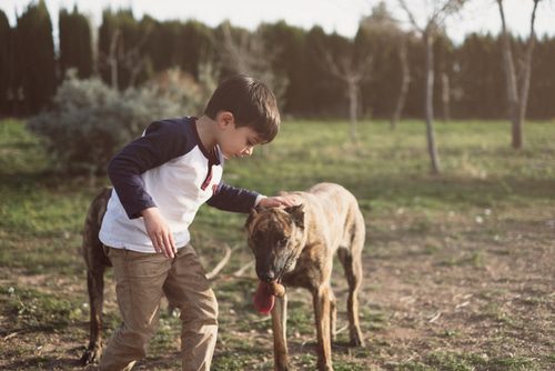 Tierhalterhaftung - Deliktsfähigkeit von Minderjährigen