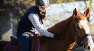 Tierhalterhaftung – Haftungsverzicht bei Proberitt auf Veranlassung des Pferdehalters