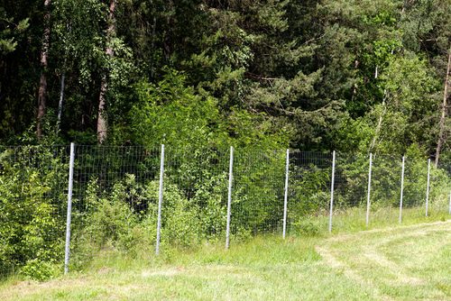 Pflicht des Grundstückspächters zur Duldung der Errichtung eines Wildzauns durch Jagdpächter