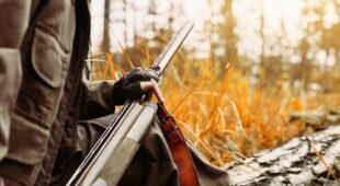 Verschuldenshaftung bei Verletzung eines anderen Jägers durch einen abgeprallten Schuss