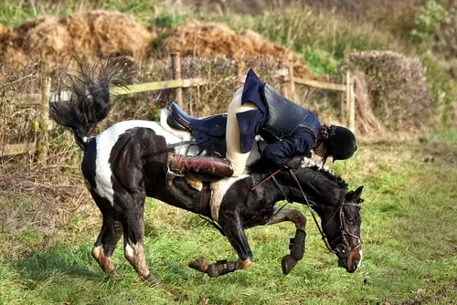 Tierhalterhaftung bei Reitunfall - Beweislast für Sturzursache