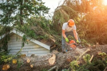 Baumfällgenehmigung  Verschattung – Interesse des Grundstückseigentümers