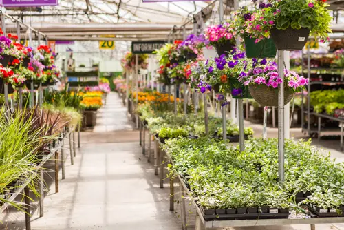 Verkehrssicherungspflicht - Schadensersatzanspruch bei Ausrutschen in Pfütze im Gartencenter