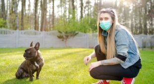 Corona-Pandemie – kein Einzel- und Gruppenunterricht in Hundeschule