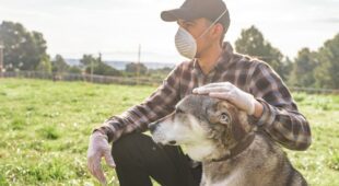 Corona-Pandemie – Betreiben Hundeschule – keine „vergleichbare Freizeiteinrichtung“