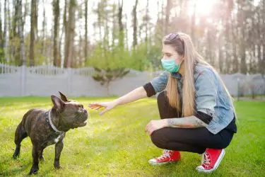 Vorläufiger Rechtsschutz – Schließung von Hundeschulen  – Corona-Pandemie