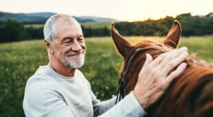 Pferdepensionsvertrag – Wirksamkeit einer Kündigungsklausel
