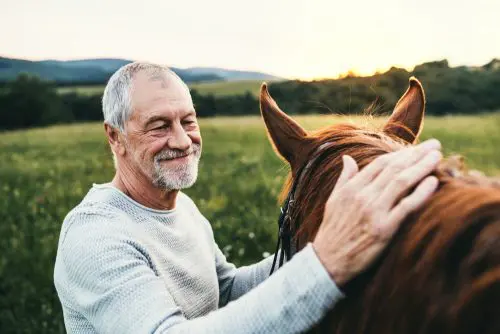 Pferdepensionsvertrag - Wirksamkeit einer Kündigungsklausel