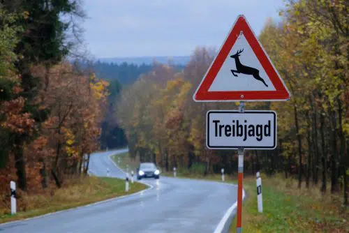 Verkehrssicherungspflicht - Anforderungen an  Veranstalter einer Treibjagd