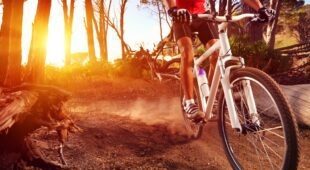 Verkehrssicherungspflicht Waldbesitzer für Unfall eines Mountainbikefahrers