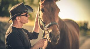 Pferdekaufvertrag – Pferd als gebrauchte Sache