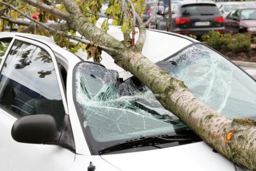 Baum durch Sturm auf Fahrzeug gefallen – Haftung Gebäudeeigentümer
