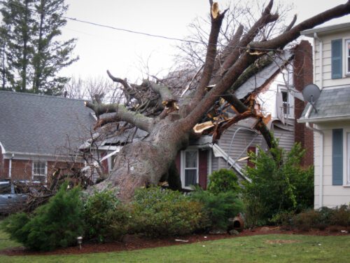 Sturmschaden Haus durch umgestürtzten Baum