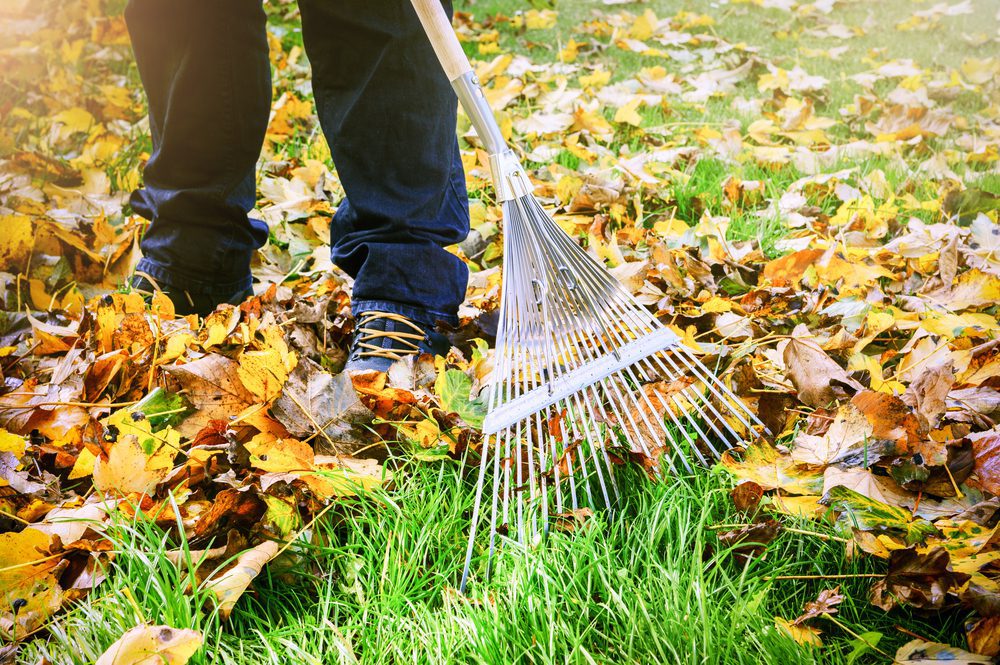 Laub und Gartenabfälle auf Grundstück von Nachbarn - Unterlassungsanspruch