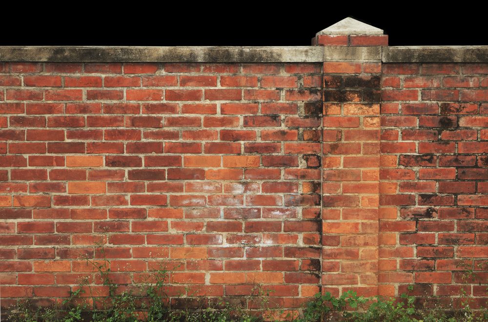 Grenzwand – Beschädigung durch Abgrabung – Schadensersatz