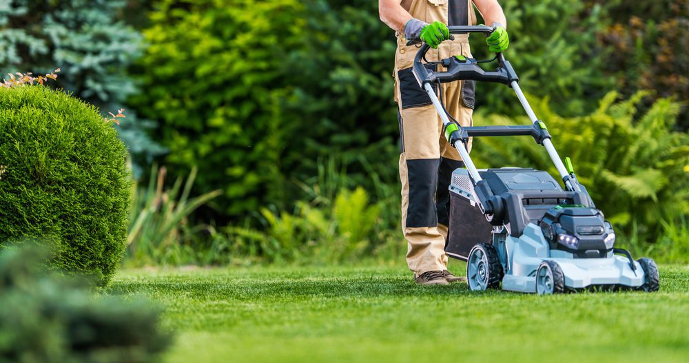 Vertrag über Gartenbauarbeiten - Fernabsatzvertrag bei gemeinsamem Ortstermin