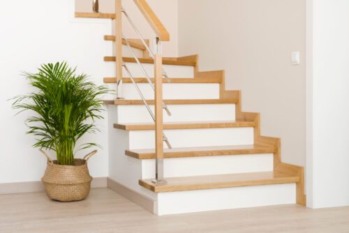 WEG - Aufstellen von Pflanzen zu Dekorationszwecken im Treppenhaus