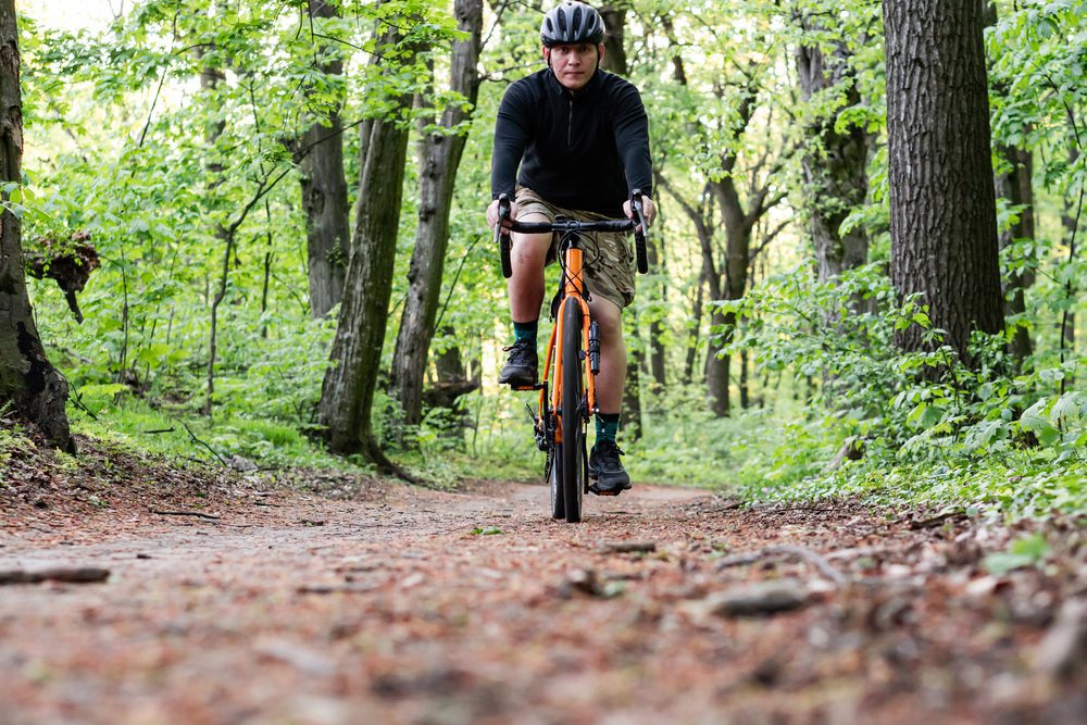 Waldbesitzerhaftung bei Sturz eines Radfahrers auf Waldweg