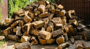 Grundstücksnachbarhaftung für Brandfolgen durch Brennholzlagerung