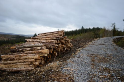 Verkehrssicherungspflicht - Sturzunfall wegen Schotterhaufen auf Waldweg