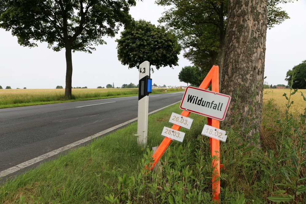 Verkehrsunfall - Abwägung Tiergefahr und Betriebsgefahr bei Begegnungsunfall