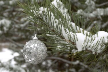 Weihnachtsbaum – standsicheres Aufstellen bei Windlasten