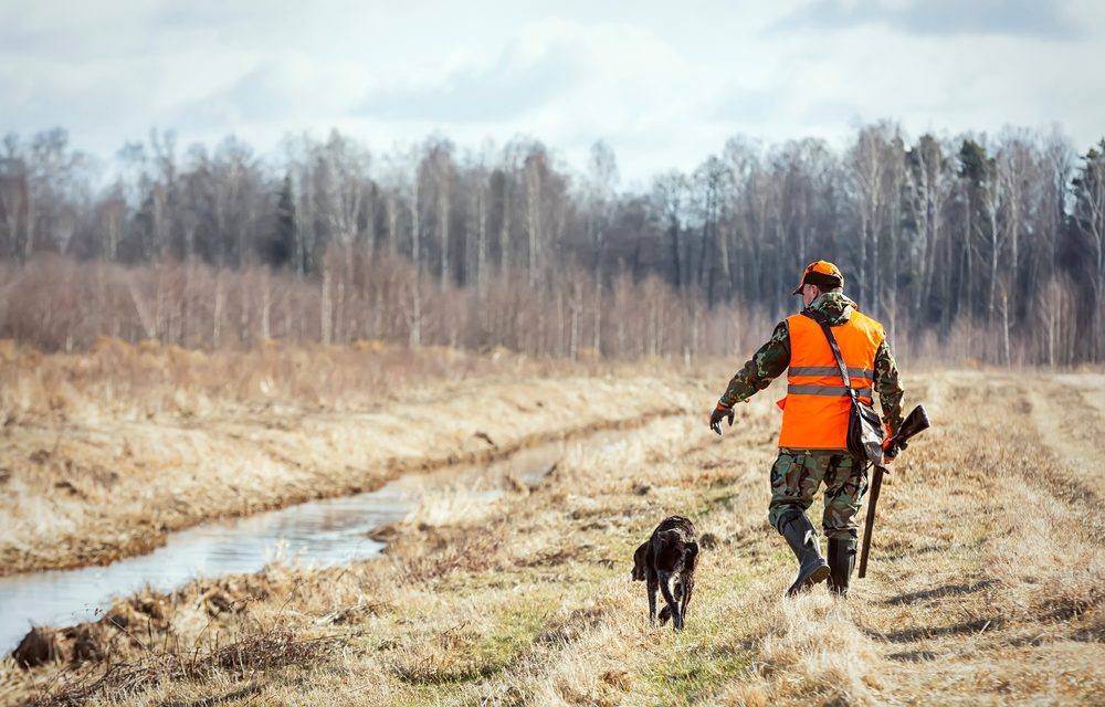 Pheasant,Hunting,,Hunter,With,Dog