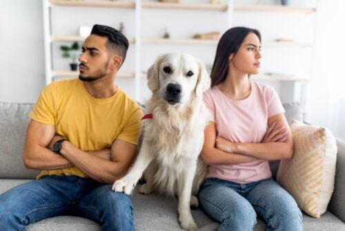 Nichteheliche Lebensgemeinschaft - Herausgabe eines Hundes nach Trennung