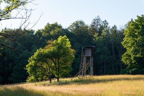 Rechte und Pflichten der Mitpächter eines gemeinsamen Jagdpachtverhältnisses